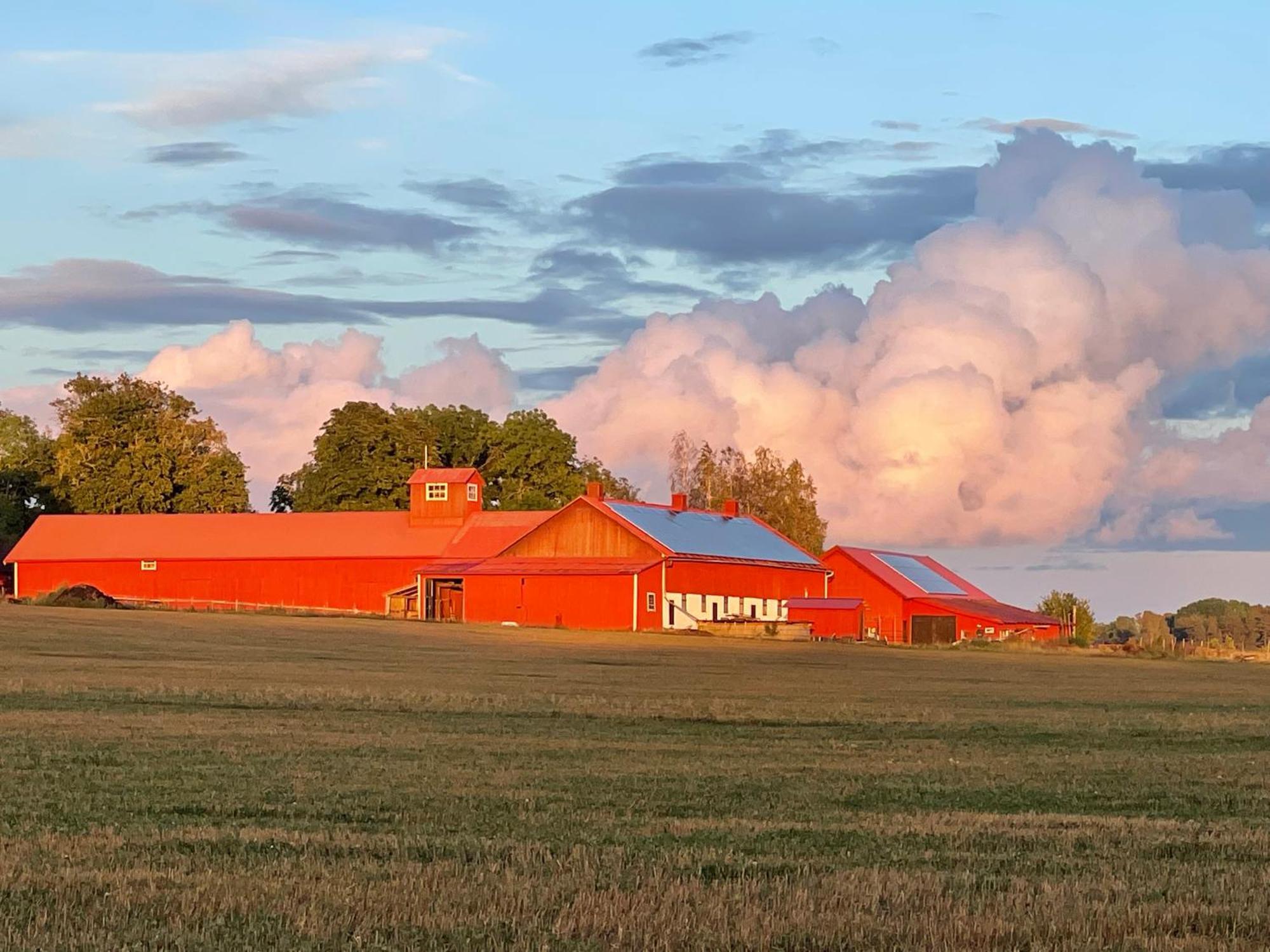 Kroksta Gard Balinge Exterior photo